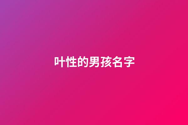 叶性的男孩名字(男孩姓叶有涵养的名字)-第1张-男孩起名-玄机派