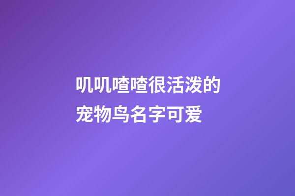 叽叽喳喳很活泼的宠物鸟名字可爱