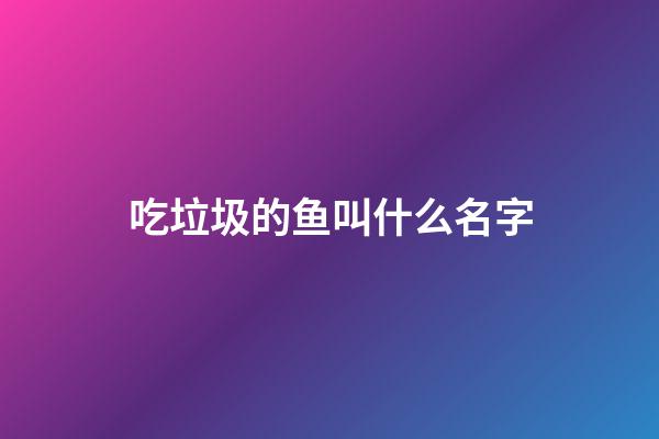 吃垃圾的鱼叫什么名字