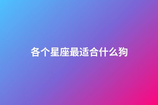 各个星座最适合什么狗-第1张-星座运势-玄机派