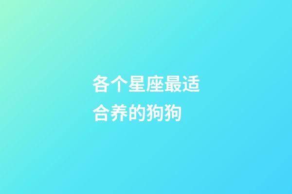 各个星座最适合养的狗狗-第1张-星座运势-玄机派