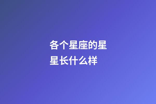各个星座的星星长什么样-第1张-星座运势-玄机派