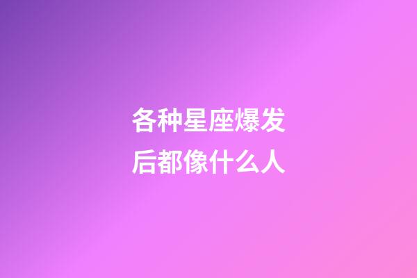 各种星座爆发后都像什么人-第1张-星座运势-玄机派