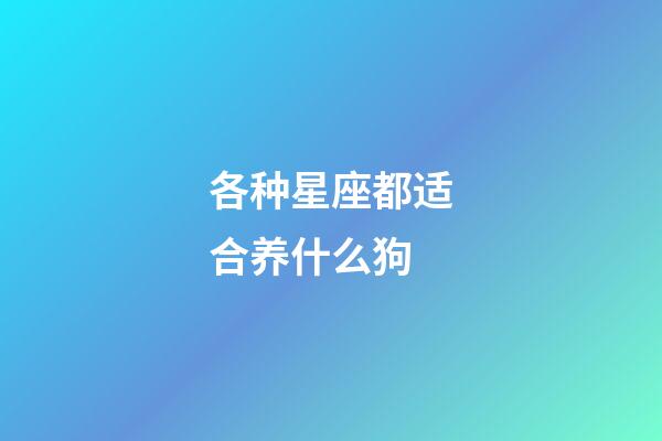 各种星座都适合养什么狗-第1张-星座运势-玄机派