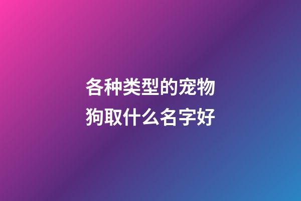 各种类型的宠物狗取什么名字好