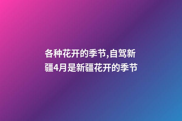 各种花开的季节,自驾新疆4月是新疆花开的季节-第1张-观点-玄机派