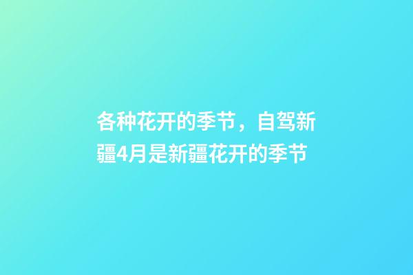 各种花开的季节，自驾新疆4月是新疆花开的季节-第1张-观点-玄机派