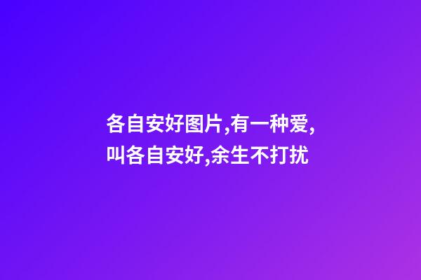 各自安好图片,有一种爱,叫各自安好,余生不打扰-第1张-观点-玄机派