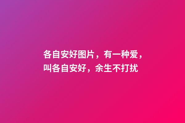 各自安好图片，有一种爱，叫各自安好，余生不打扰-第1张-观点-玄机派