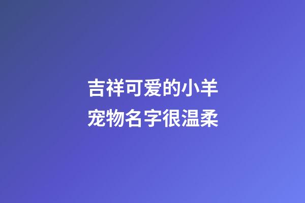 吉祥可爱的小羊宠物名字很温柔