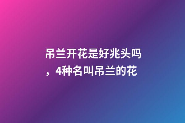 吊兰开花是好兆头吗，4种名叫吊兰的花-第1张-观点-玄机派