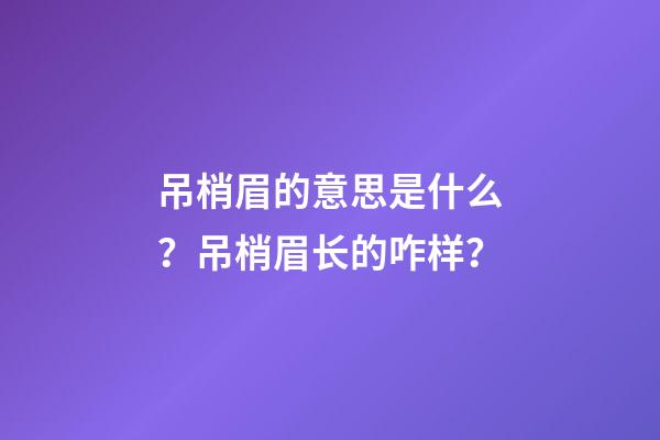 吊梢眉的意思是什么？吊梢眉长的咋样？
