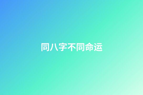 同八字不同命运