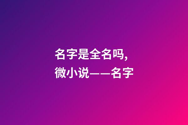 名字是全名吗,微小说——名字-第1张-观点-玄机派