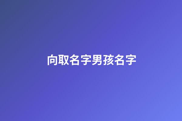 向取名字男孩名字(向取名字男孩名字2008年出生)-第1张-男孩起名-玄机派