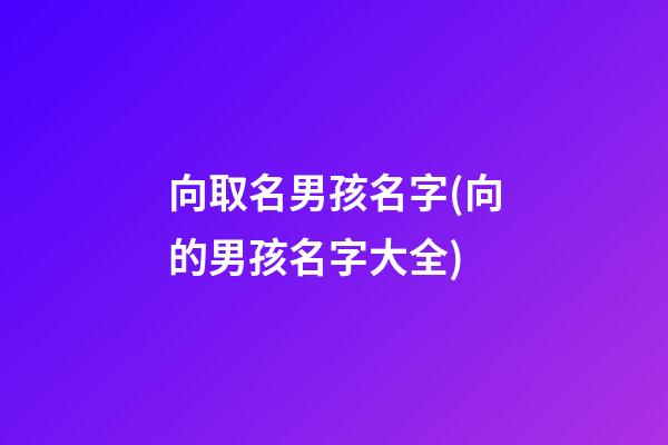 向取名男孩名字(向的男孩名字大全)
