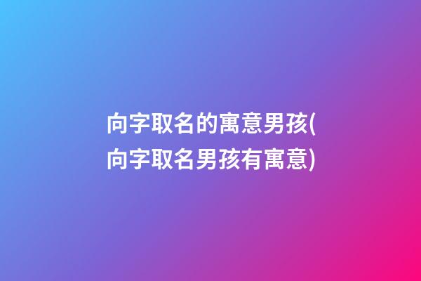 向字取名的寓意男孩(向字取名男孩有寓意)