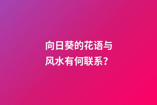 向日葵的花语与风水有何联系？
