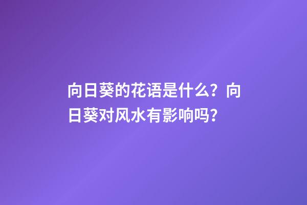 向日葵的花语是什么？向日葵对风水有影响吗？