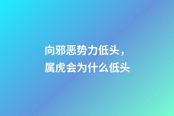 向邪恶势力低头，属虎会为什么低头