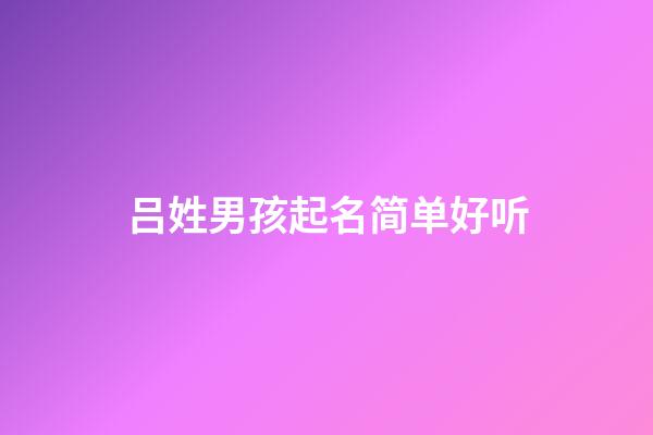 吕姓男孩起名简单好听