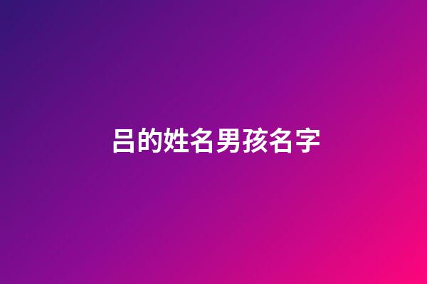 吕的姓名男孩名字(男宝吕姓名字)-第1张-男孩起名-玄机派