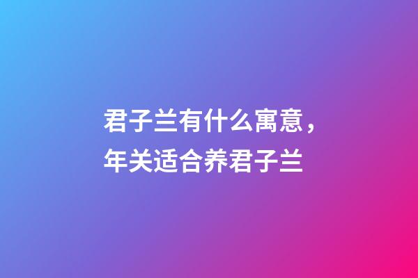 君子兰有什么寓意，年关适合养君子兰-第1张-观点-玄机派