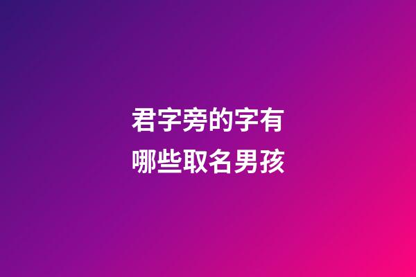 君字旁的字有哪些取名男孩(君字旁的字有什么)-第1张-男孩起名-玄机派