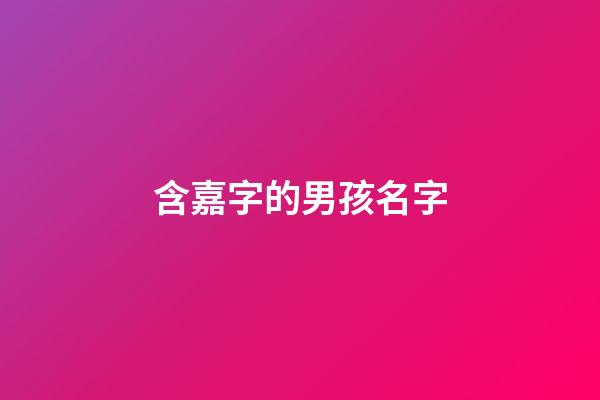 含嘉字的男孩名字(含嘉字的男生名字)-第1张-男孩起名-玄机派