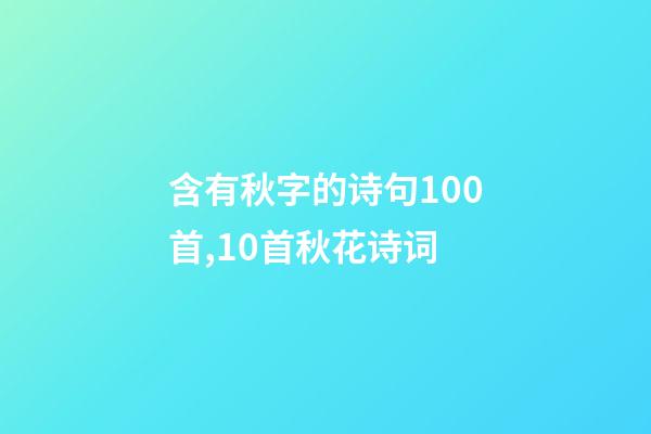 含有秋字的诗句100首,10首秋花诗词-第1张-观点-玄机派