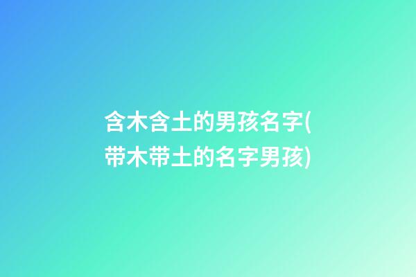 含木含土的男孩名字(带木带土的名字男孩)