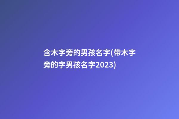 含木字旁的男孩名字(带木字旁的字男孩名字2023)