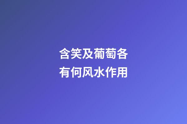含笑及葡萄各有何风水作用?