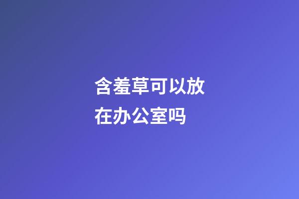 含羞草可以放在办公室吗