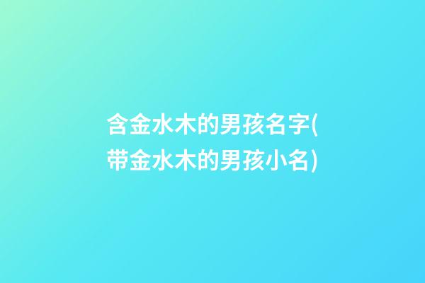 含金水木的男孩名字(带金水木的男孩小名)