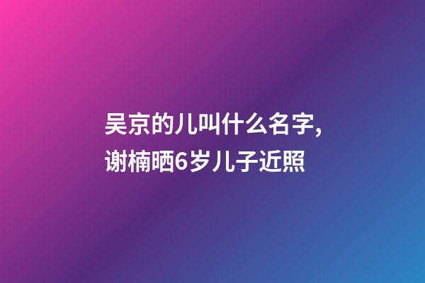 吴京的儿叫什么名字,谢楠晒6岁儿子近照-第1张-观点-玄机派