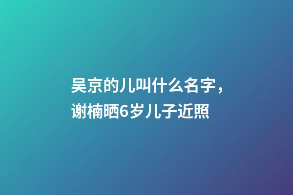 吴京的儿叫什么名字，谢楠晒6岁儿子近照-第1张-观点-玄机派