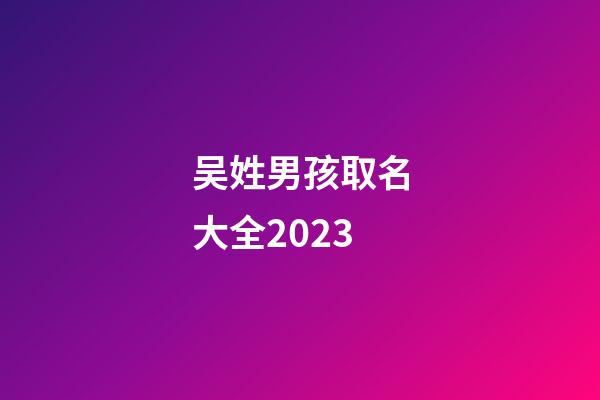 吴姓男孩取名大全2023