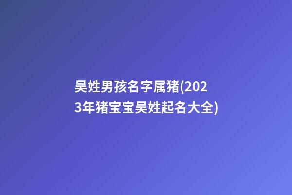 吴姓男孩名字属猪(2023年猪宝宝吴姓起名大全)
