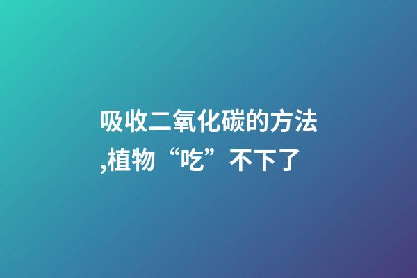 吸收二氧化碳的方法,植物“吃”不下了-第1张-观点-玄机派