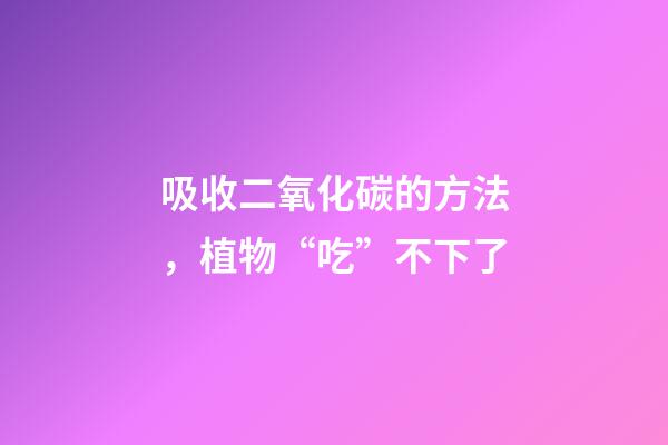 吸收二氧化碳的方法，植物“吃”不下了-第1张-观点-玄机派
