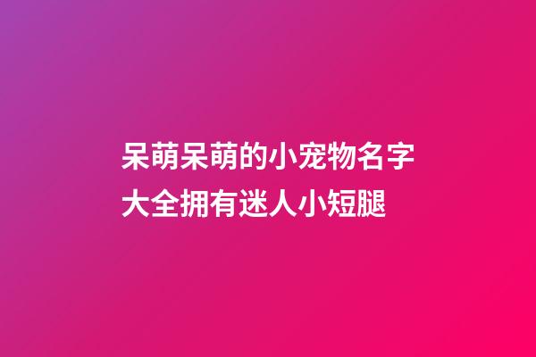 呆萌呆萌的小宠物名字大全拥有迷人小短腿