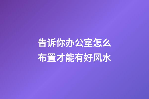 告诉你办公室怎么布置才能有好风水