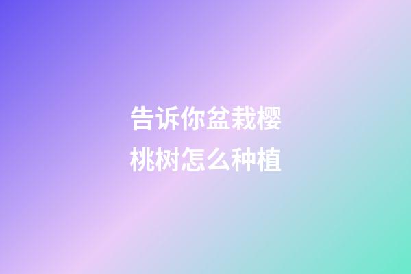 告诉你盆栽樱桃树怎么种植