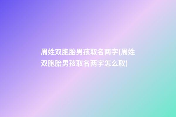 周姓双胞胎男孩取名两字(周姓双胞胎男孩取名两字怎么取)