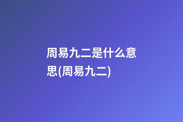周易九二是什么意思(周易九二)