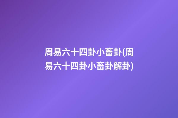 周易六十四卦小畜卦(周易六十四卦小畜卦解卦)