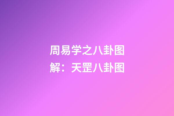 周易学之八卦图解：天罡八卦图