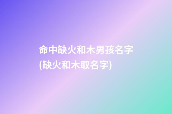 命中缺火和木男孩名字(缺火和木取名字)