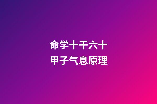 命学十干六十甲子气息原理